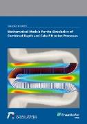 Mathematical models for the simulation of combined depth and cake filtration processes
