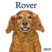 Rover 2019