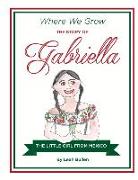The Story of Gabriella a Little Girl from Mexico: Volume 2