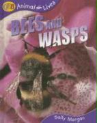 Bees and Wasps