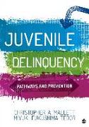 Juvenile Delinquency: Pathways and Prevention
