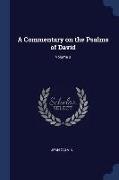 A Commentary on the Psalms of David, Volume 3
