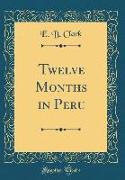 Twelve Months in Peru (Classic Reprint)