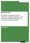 Textanalyse zur Theodor Storms "Immensee". Erinnerungsdiskurs und dessen poetologischer Funktion im Literatursystem des Realismus