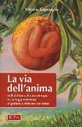 La via dell'anima. Dall'alchimia alla psicoterapia le sue leggi misteriose ci guidano a ritrovare noi stessi