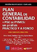 Plan General de Contabilidad y PGC de pymes : un análisis práctico y a fondo