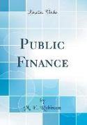 Public Finance (Classic Reprint)