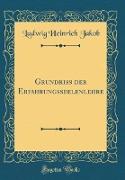 Grundriss der Erfahrungsseelenlehre (Classic Reprint)