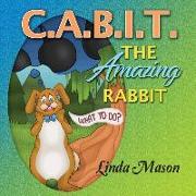 C.A.B.I.T. The Amazing Rabbit
