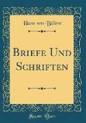 Briefe Und Schriften (Classic Reprint)