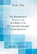 Th. Bodemann's Anleitung zur Berg-und Hüttenmännischen Probierkunst (Classic Reprint)