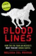 Bloodlines. How the FBI took on Mexico's most violent drugs cartel
