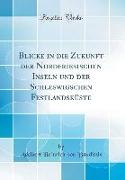 Blicke in die Zukunft der Nordfriesischen Inseln und der Schleswigschen Festlandsküste (Classic Reprint)