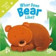 What Does Bear Like (Touch & Feel): Touch & Feel Board Book