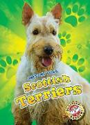 Scottish Terriers