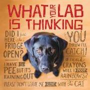 What Your Lab Is Thinking