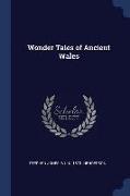 Wonder Tales of Ancient Wales