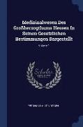 Medizinalwesen Des Großherzogthums Hessen in Seinen Gesetzlichen Bestimmungen Dargestellt, Volume 1