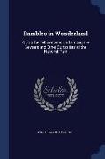 Rambles in Wonderland: Or, Up the Yellowstone: And Among the Geysers and Other Curiosities of the National Park