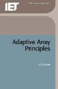 Adaptive Array Principles