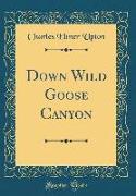 Down Wild Goose Canyon (Classic Reprint)