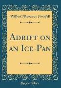 Adrift on an Ice-Pan (Classic Reprint)