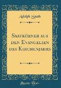 Saatkörner aus den Evangelien des Kirchenjahrs (Classic Reprint)