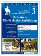 FN-Lehrfilm 03. Grundausbildung Pferd und Reiter / Dressage - The Scale of Training