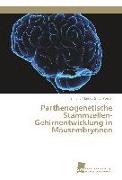 Parthenogenetische Stammzellen-Gehirnentwicklung in Mausembryonen