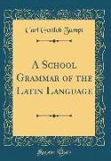 A School Grammar of the Latin Language (Classic Reprint)
