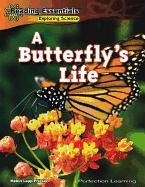 A Butterfly's Life