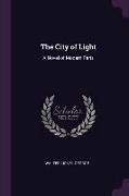 The City of Light: A Novel of Modern Paris