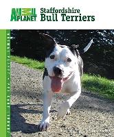 Staffordshire Bull Terriers