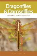 Dragonflies and Damselflies of Georgia and the Southeast