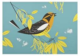 Charley Harper: Blackburnian Warbler Small Boxed Cards