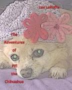 The Adventures of Fifi the Chihuahua
