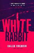 White Rabbit