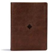 CSB Day-By-Day Chronological Bible, Brown Leathertouch