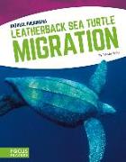 Leatherback Sea Turtle Migration