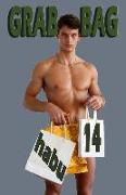 Grab Bag 14: A Gay Erotica Anthology