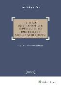 Litigios sobre consumo : especialidades procesales y acciones colectivas : conflictos y reclamaciones habituales