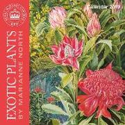 Kew Gardens - Exotic Plants by Marianne North - mini wall ca