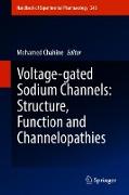 Voltage-gated Sodium Channels: Structure, Function and Channelopathies