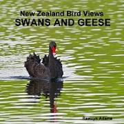 New Zealand bird views