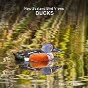 New Zealand bird views