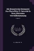 Die Branntwein-Brennerei Aus Kartoffeln U. Getreide in Ihrer Höchsten Vervollkommnung, Volume 2