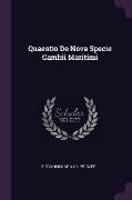 Quaestio De Nova Specie Cambii Maritimi