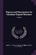 Figures and Descriptions on Canadian Organic Remains, Volume 3