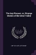 The boy Pioneer, or, Strange Stories of the Great Valley