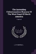 The Incrusting Chilostomatous Bryozoa Of The West Coast Of North America, Volume 4